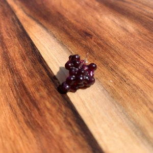 Dollhouse Miniature Red Purple Grapes, 1:12 Scale, mini fruit, mini grape bunch