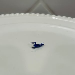 Puppenhaus Miniatur Blau Jay, 1:12 Maßstab, Miniatur Vogel, Mini Natur