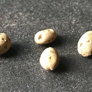 Miniature Dollhouse Vegetables - Potatoes