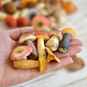 Polymer clay mushrooms Miniature mushrooms Terrarium decor Fairy garden Mushrooms Miniature mushrooms for sensory play