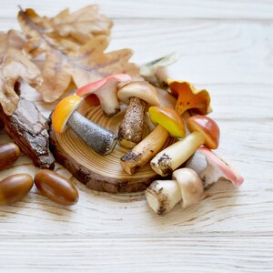 Miniature mushrooms made of polymer clay Terrarium decor Fairy garden kit Mushrooms for sensory play