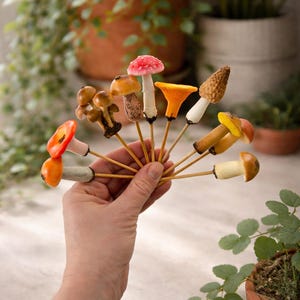 May include: A hand holds a fan of colorful mushroom-shaped objects on wooden skewers. The mushrooms vary in color, including red, orange, yellow, brown, and white. The background features potted plants.