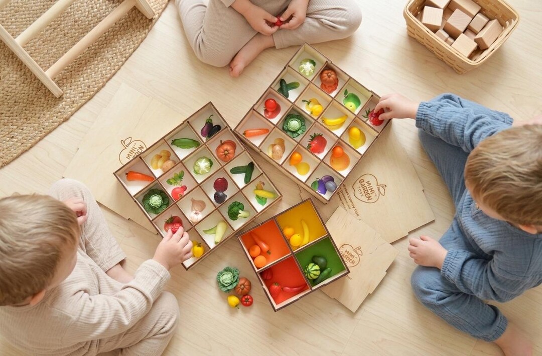 Montessori Sorting Set Choice: Photo Matching or Color Sorting ...