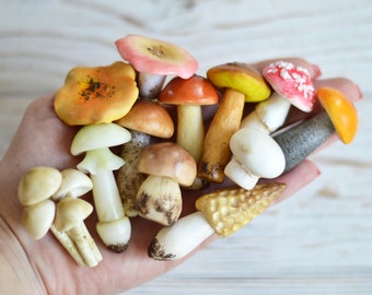 Miniature mushrooms from Polymer clay Terrarium decor Fairy garden Mushrooms Miniature mushrooms for sensory play