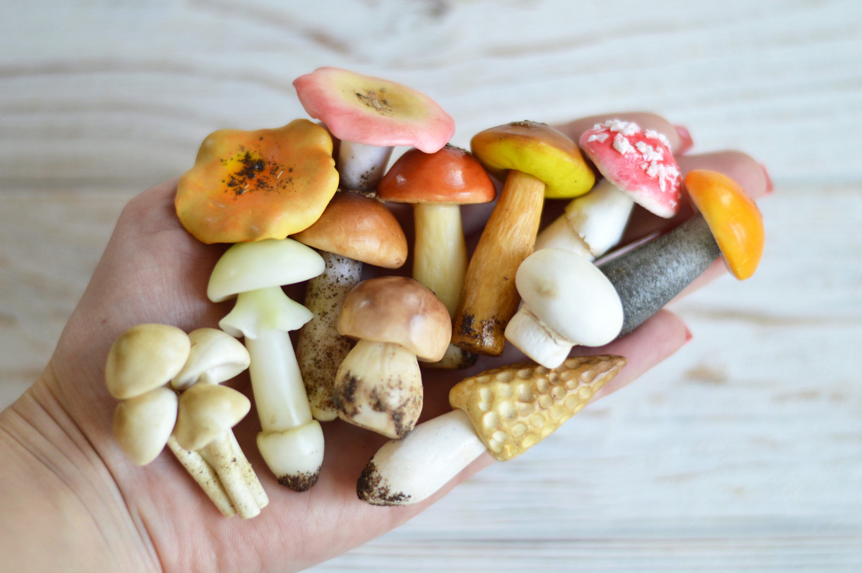 68pcs Realistic Mushrooms Micro Garden Tiny Mushroom Decors Mini