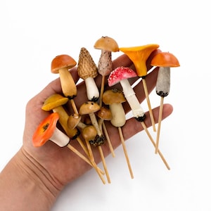 Può includere: Una collezione di figurine di funghi in miniatura attaccate a sottili bastoncini di legno, caratterizzate da varie forme, consistenze e colori tra cui arancione, marrone, giallo, bianco e un cappello rosso con macchie bianche, raggruppate.