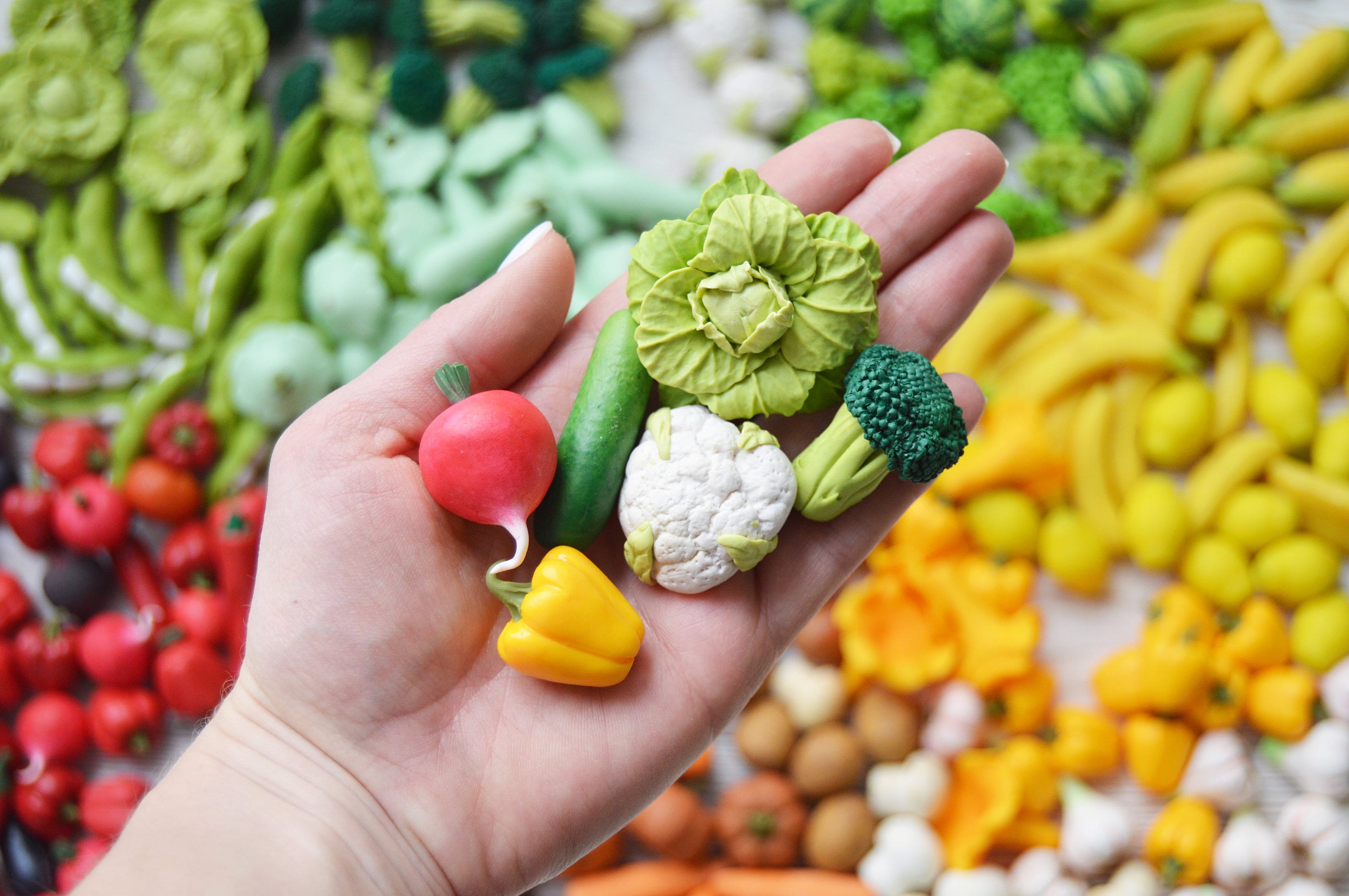 Miniature Vegetables Vegetable Garden Montessori Learning Toys Etsy