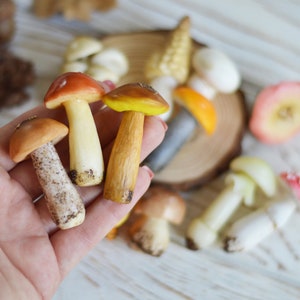 Miniature mushrooms from Polymer clay Terrarium decor Fairy garden Mushrooms Miniature mushrooms for sensory play