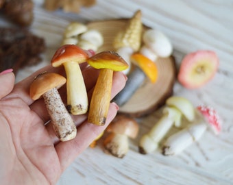 Miniature Polymer Clay Mushrooms: Fairy Garden Terrarium Decor