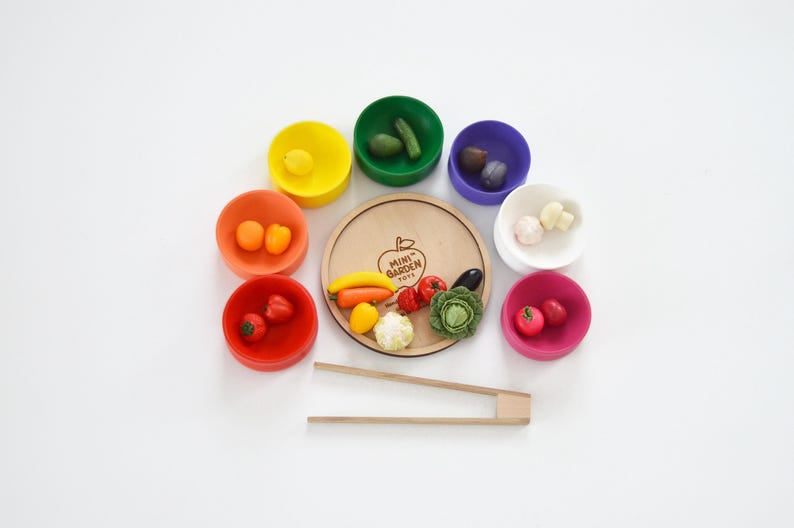 Montessori Color Sorting Activity With Wooden Plates and Tweezers ...