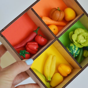 Educational sensory toy: colors sorting set with miniature food, mini vegetables and fruits, Montessori toys, Handmade wood toys, baby gift