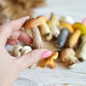 Montessori Mushroom Play Set – Handmade Polymer Clay Mini Mushrooms – Educational Sensory Toy