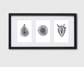 Fruit Triptych Art Print Set • Black and white dotwork illustrations of a fig, kiwi, strawberry