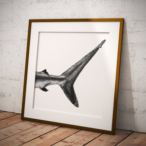 Shark Tail Art Print • Black and white dotwork illustration of ocean life