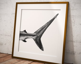 Shark Tail Art Print • Black and white dotwork illustration of ocean life