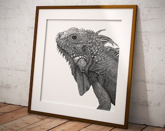 Iguana Art Print • Black and white dotwork reptile illustration