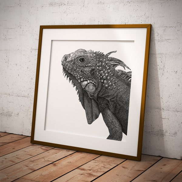 Iguane • Impression d'art • illustration, noir et blanc, dotwork, print, carré, art, nature, reptile, lézard, croco, guadeloupe, oeil