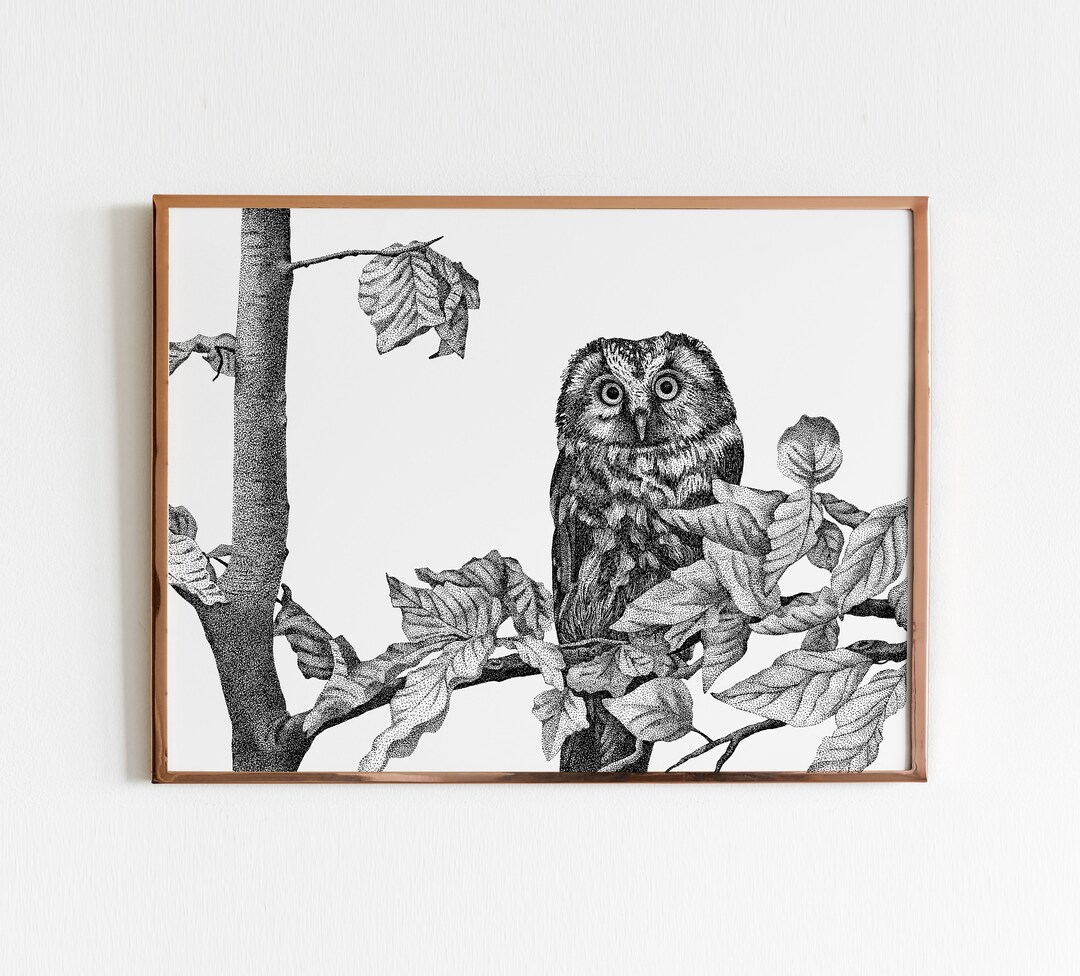 Barn Owl Art Print • Black and White Dotwork Bird Illustration - Etsy