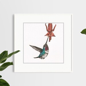 Kolibrie • Originele aquarel en stippen • uniek, met de hand getekend, natuurillustratie, stippen op aquarel, lentevibes