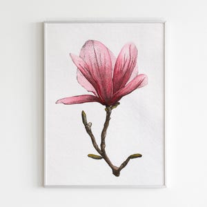 Magnolia • Acquerello originale e dotwork • Illustrazione unica, disegnata a mano, natura, dotwork su acquerello, vibrazioni primaverili