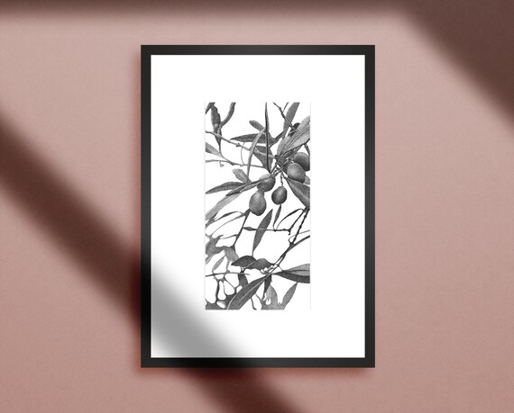 Olive Branch Art Print • Black and white dotwork botanical illustration