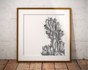 Cactus • Art print • illustration, black and white dotwork, print, square print, art, nature, plant, botanical, floral, cacti, succulent