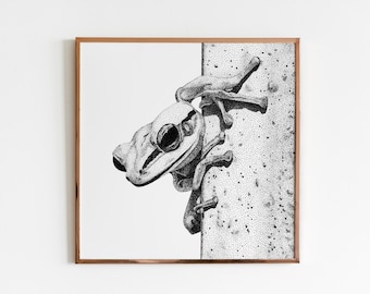 Golden Poison Frog Art Print • Black and white dotwork wildlife illustration