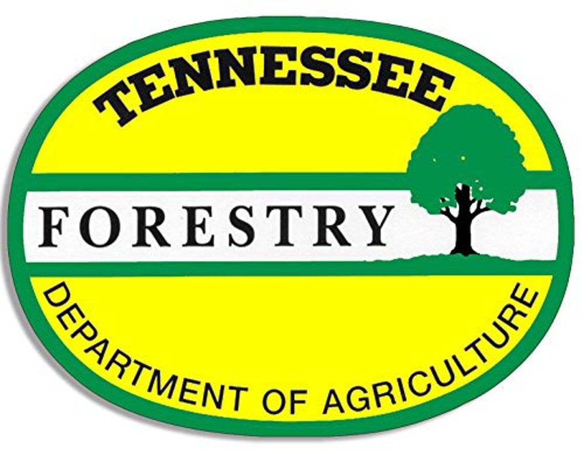 3x5 inch Oval Tennessee Forestry Department Logo Sticker Etsy
