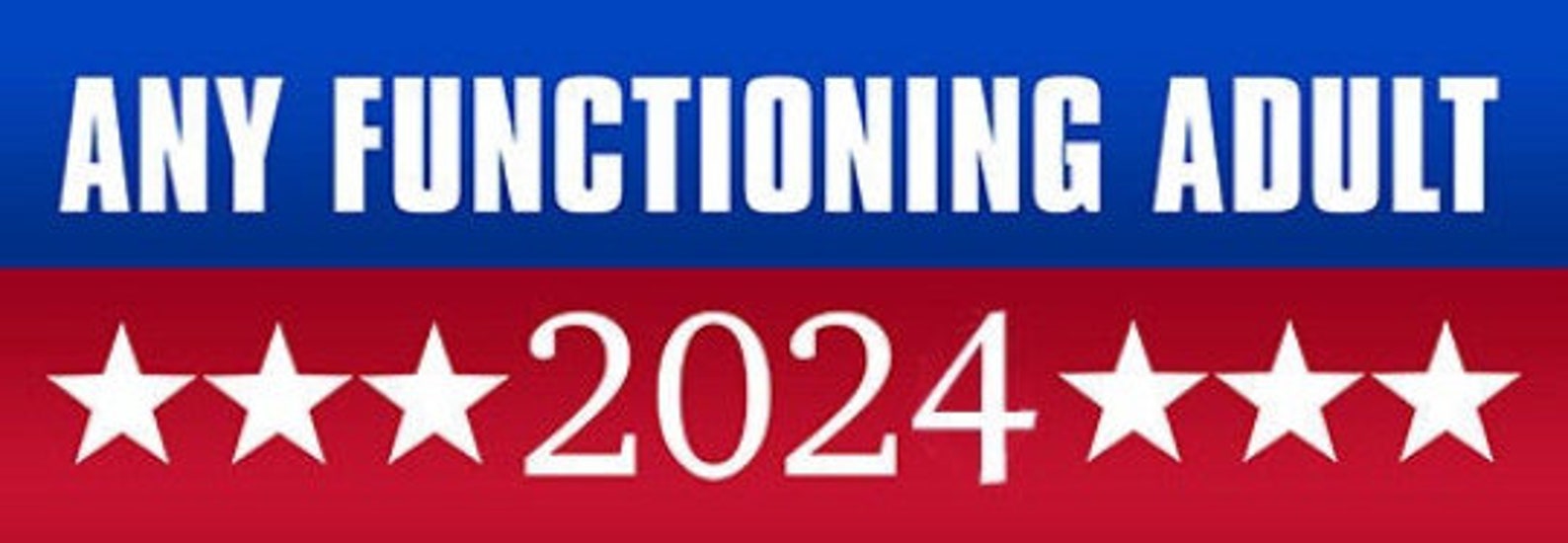 3x9 Inch Any Functioning Adult 2024 Bumper Sticker gop Funny Etsy