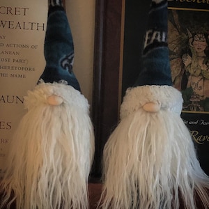 Gnomos das Águias do Ancião Elmarex, Gnomos dos Bravos