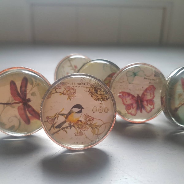 1 Glass Nature Illustrated Knob Birds Butterflies Dragonflies Furniture Drawer Pulls - choice