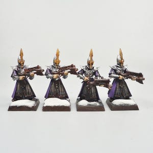 Può includere: Quattro miniature di guerrieri fantasy, ognuno con un fucile. Le figure sono vestite con un'armatura argentata con accenti viola e neri. Sono in piedi su basi marroni con una spolverata di neve bianca.