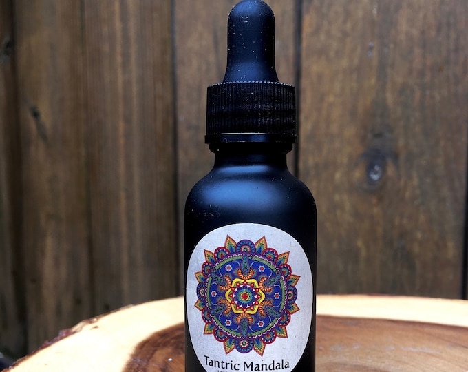 Sacred Appalachia Organic Mushroom Tincture in Cinnamon 1 fl. oz