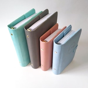 May include: Four ring binders in varying sizes and colors, including mint green, dark gray, dusty rose, and light blue. Each binder features gold-toned metal rings and a smooth exterior finish, with white paper pages visible inside the open spines.