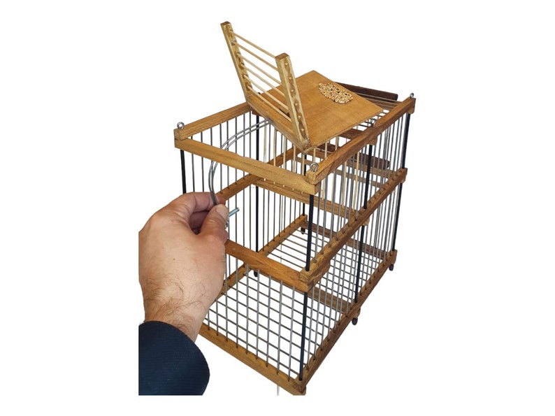 Cage piège à condition nonstop pour petits oiseaux La cage piège à répétition attrape les