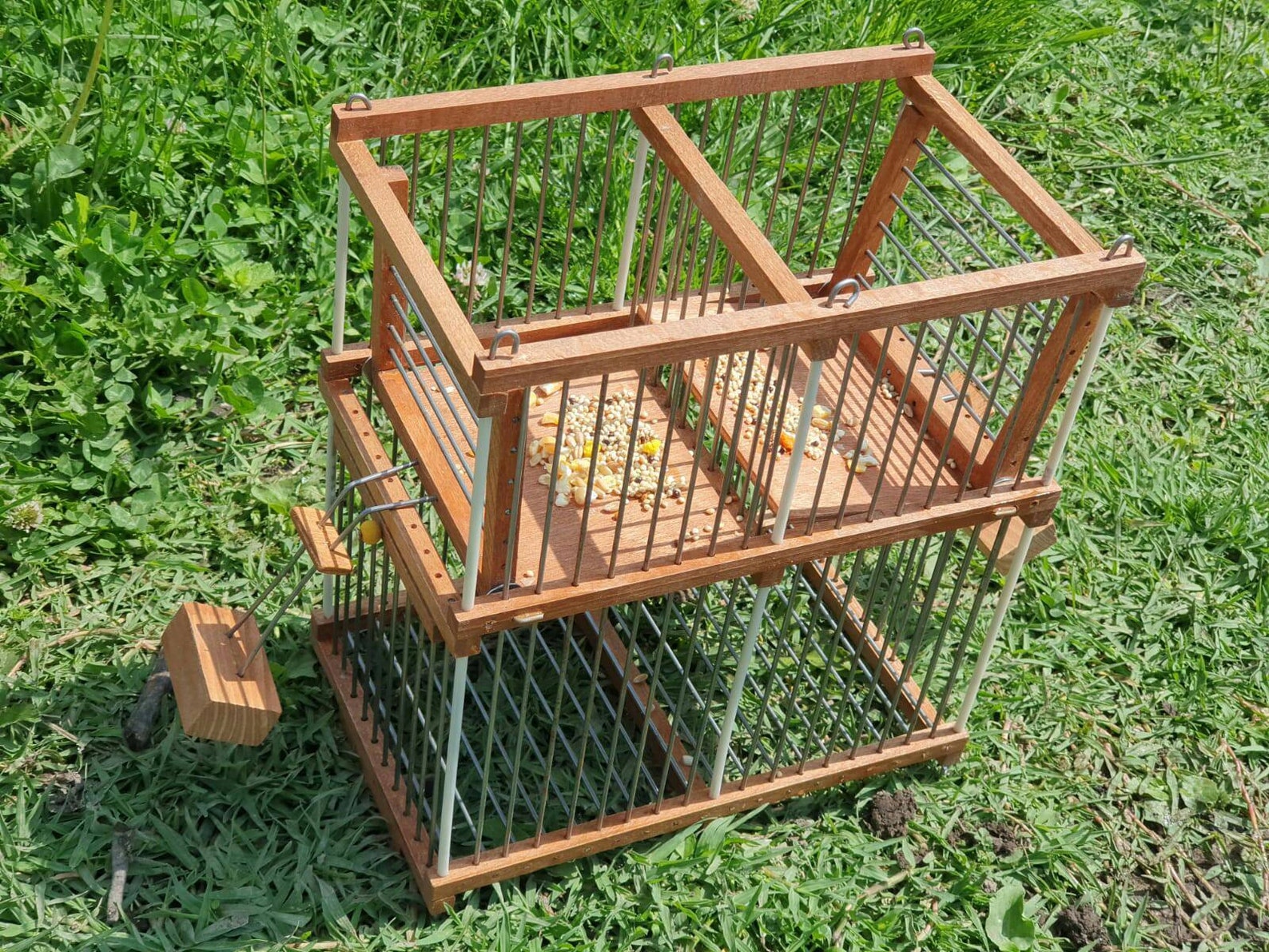 Nonstop Trap cage for birds Sparrow Bird Trap Repeating Etsy