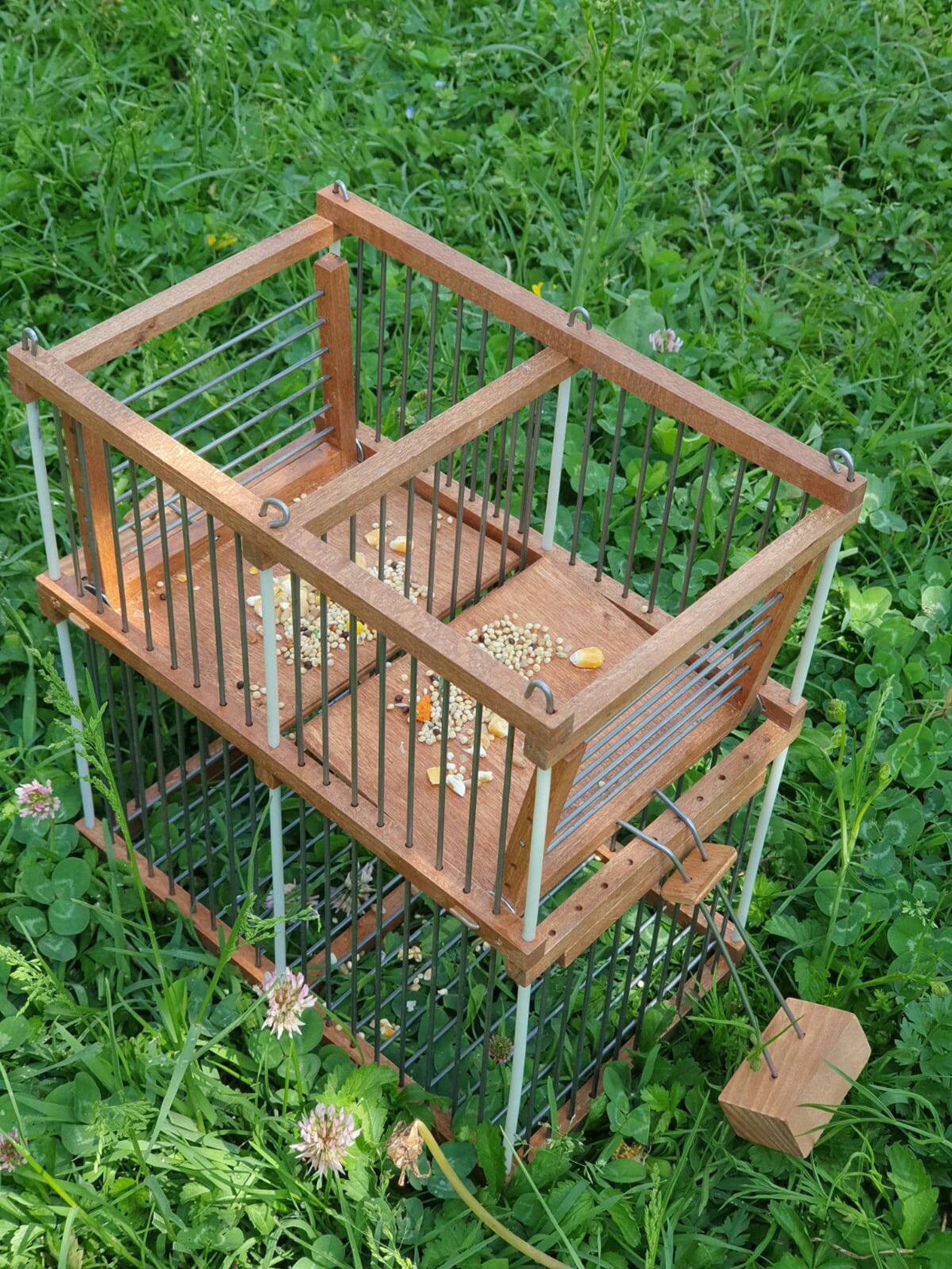 Nonstop Trap cage for birds Sparrow Bird Trap Repeating Etsy