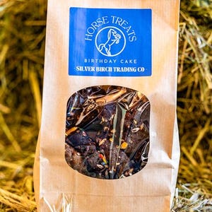 Birthday Cake Horse  Treats