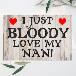 Carte amusante pour Nan - I Just Bloody Love My Nan - Blank Inside - Anniversaire de la fête des mères Noël Merci - Mon Nan est le meilleur