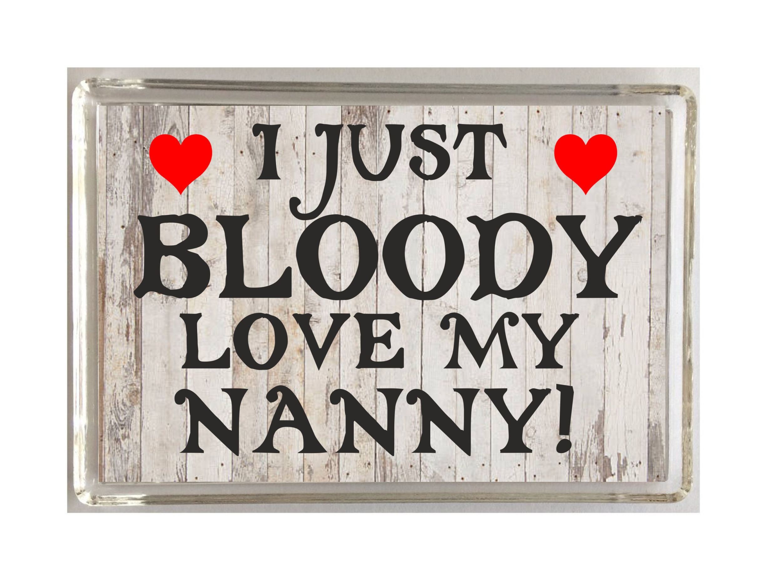 I Just Bloody Love Fun Nanny Gift Novelty Fridge Magnet Birthday Christmas 