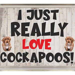 Nice Dog Lover Gift - I Just Really Love Cockapoos - Novelty Fridge Magnet - Ideal Present for Birthday Christmas