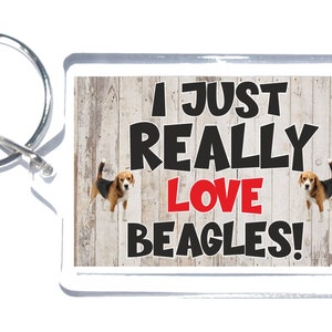 Nice Dog Gift - I Just Really Love Beagles - Novelty Keyring - Friend love dogs