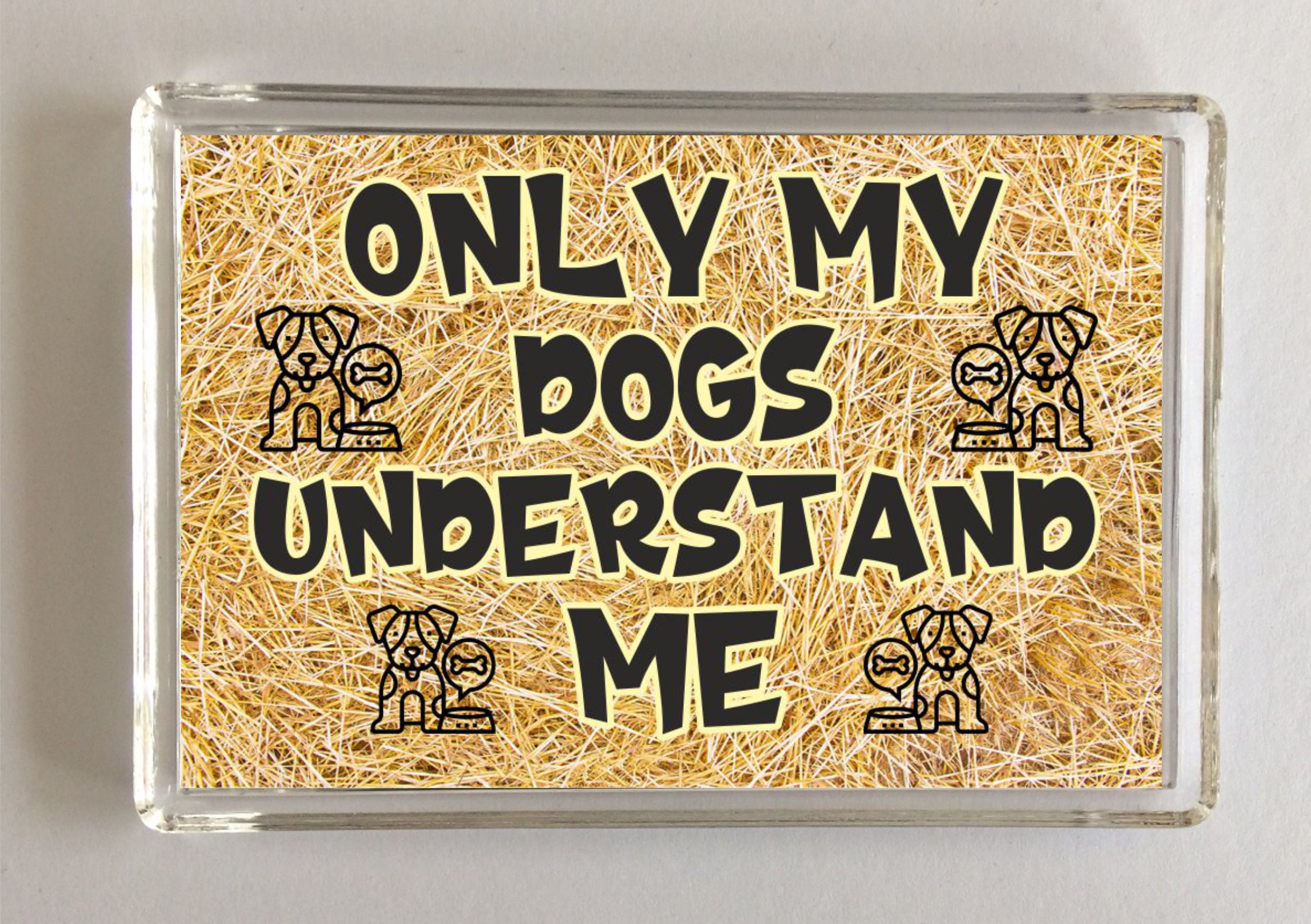 Do Dogs Understand Presents