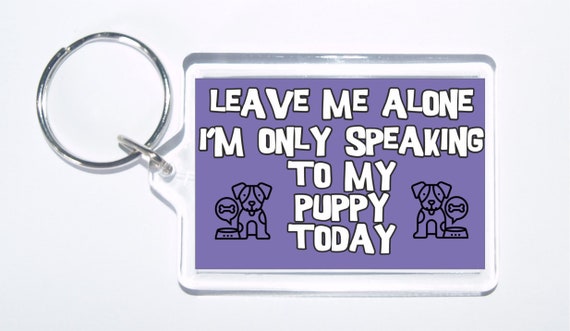 Novelty Horse Keyring,Gift Leave Me Alone I/'m Only Talking To My Horse Today