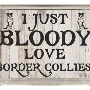 Funny Dog Lover Gift - I Just Bloody Love Border Collies - Novelty Fridge Magnet - Ideal Present for Birthday Christmas