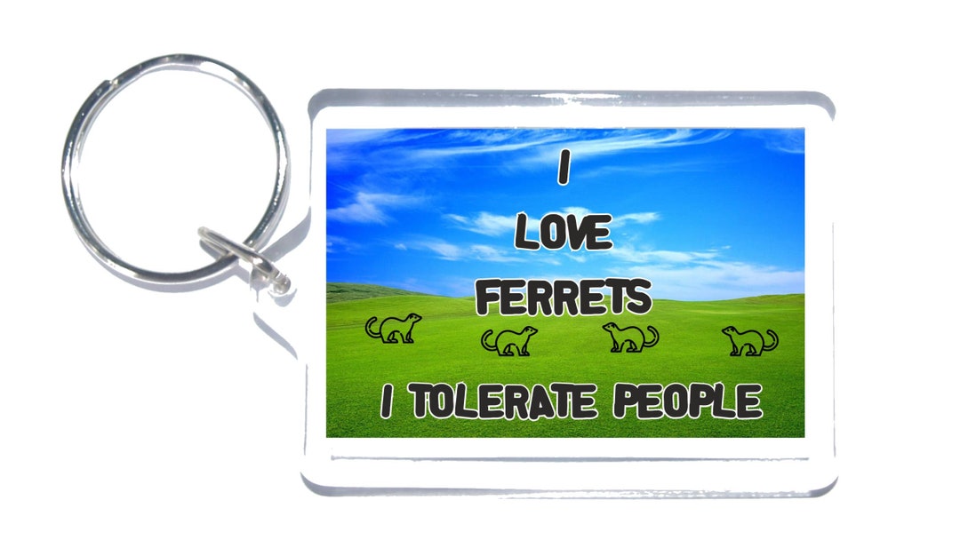 I Love Ferrets I Tolerate People. Novelty Keyring, Ideal Gift/present ...