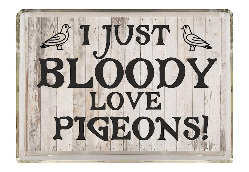 May include: A white wooden sign with black text that reads "I just bloody love pigeons!" with a black silhouette of a pigeon on each side of the text.