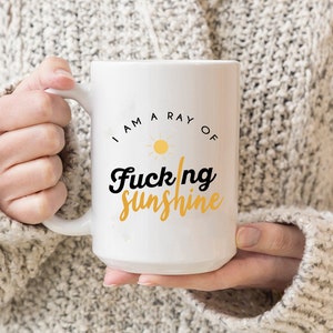 I am a Ray of Fucking Sunshine coffee mug, funny birthday gift for her, funny mugs for women, ep155