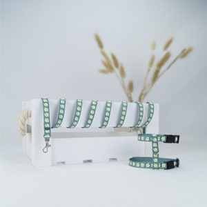 May include: A teal blue dog harness and leash set with a paw print design. The leash has a silver clip and the harness has two adjustable straps.