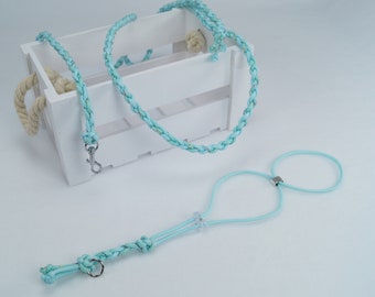 X - Ferret harness | Form 8 ferret harness "Ocean" | infinitely adjustable | two-tone | Ferret harness | Glitter